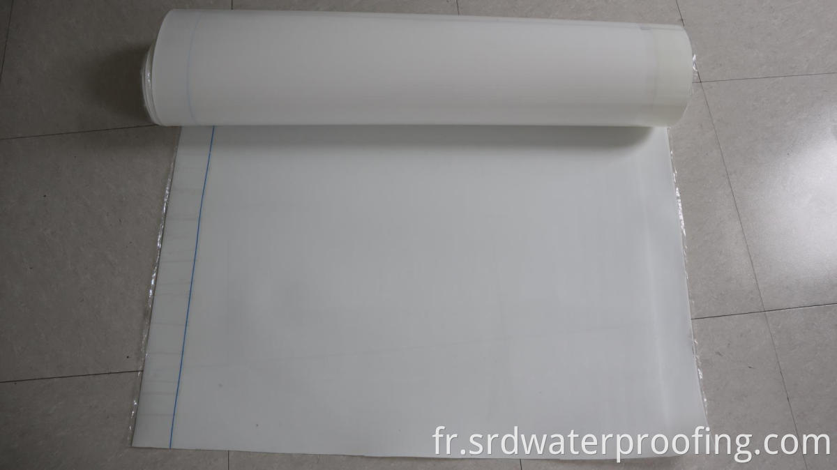 HDPE Waterproofing Membrane